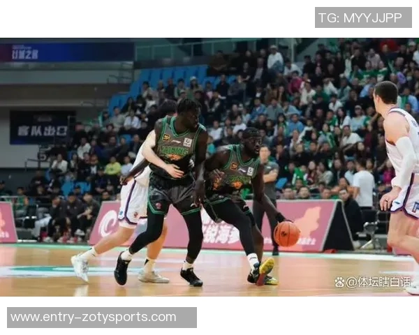 辽宁蓝男对阵浙江精彩直播全程回顾与赛后分析